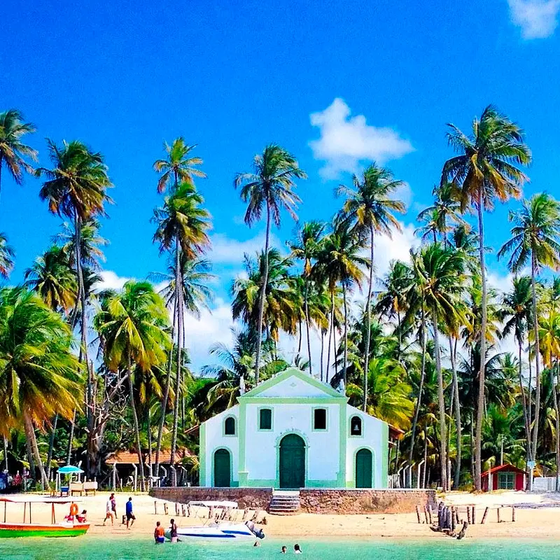 Praia dos Carneiros com coqueiros e mar azul