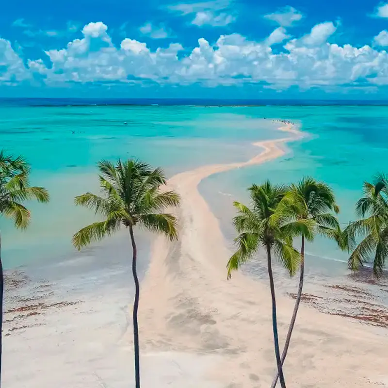 Mar cristalino de Maragogi em Alagoas