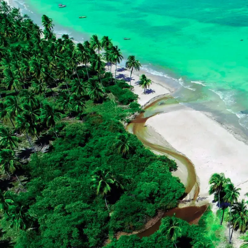 Rota Ecológica dos Milagres no litoral de Alagoas